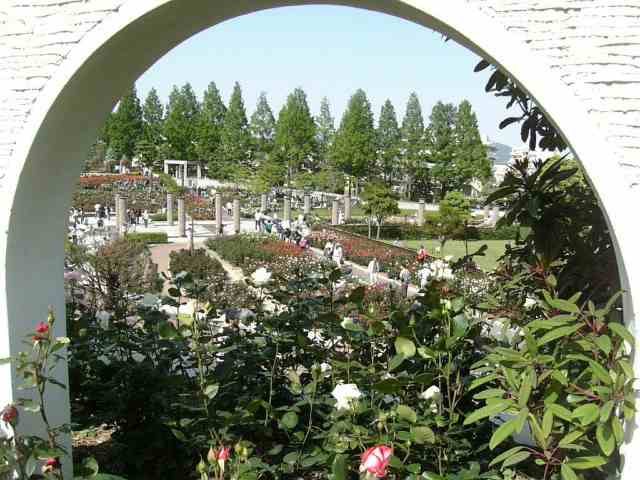 バラ園
