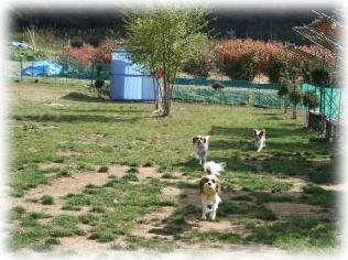 今日も元気です