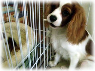 これおいちぃ♪