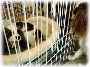 おいちぃね～♪