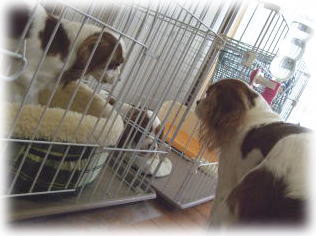 ここにまだあるね