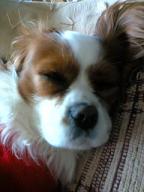 ぶさいく(￣ｍ￣〃)ぷぷっ!