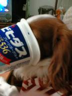 なにもそこまで…