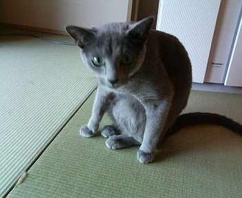 見たな～