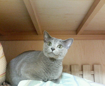 俺の部屋