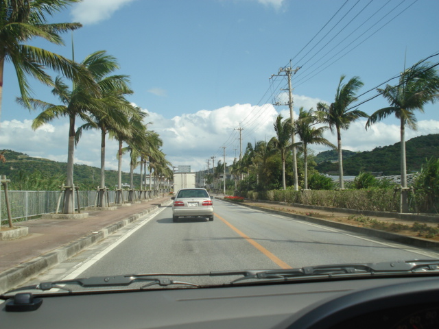 DSC01433.JPG