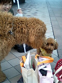 アッサム＆ラム