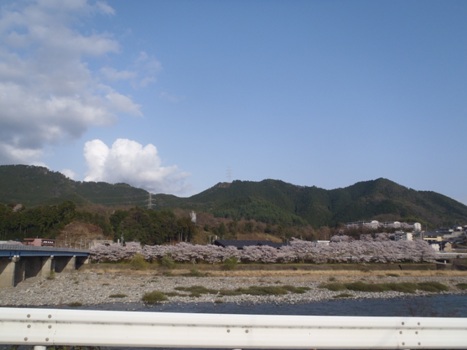 P4090425.JPG