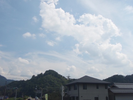 P9061784.JPG