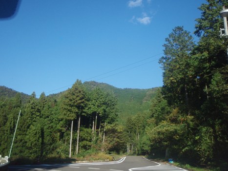 PB032078.JPG