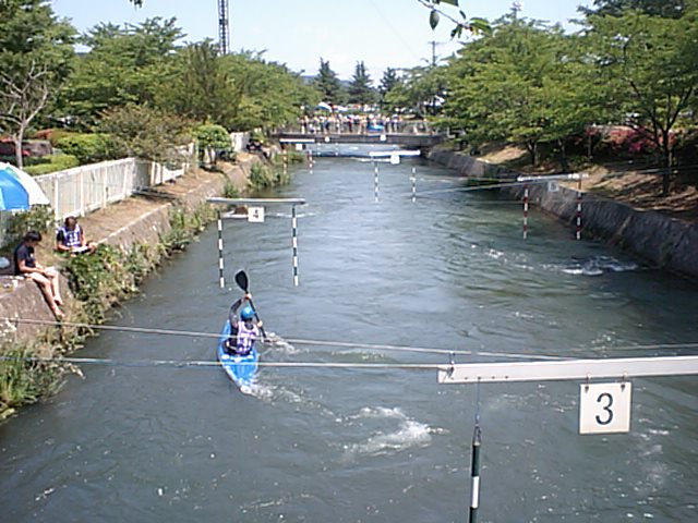 CA341398.jpg