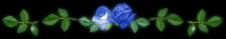 s薔薇line.jpg