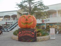 DSC00508.JPG