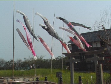 koinobori