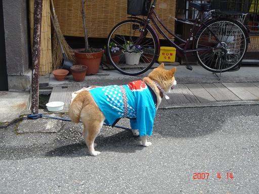 DSC03765.JPG