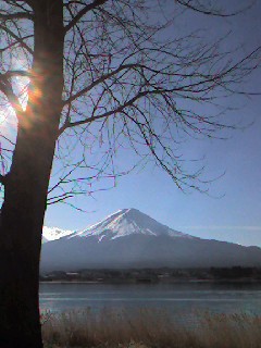 富士と河口湖