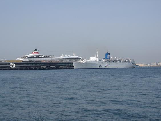 P1000180-1.JPG