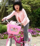 補助輪自転車