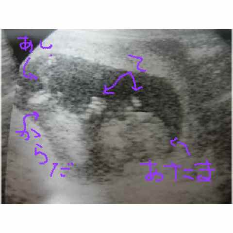 baby 008.jpg