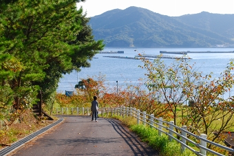 休暇村南淡路付近朝のお散歩