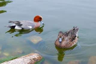 みやま公園にて