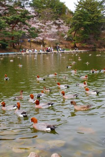 みやま公園にて