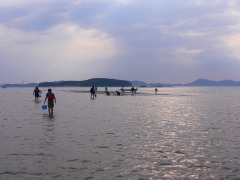 高洲の浅瀬