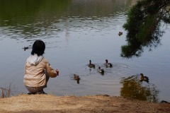 みやま公園にて