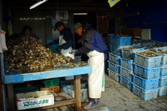 寄島牡蠣直売所