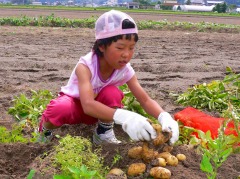 有機栽培農業体験にて