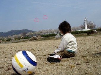 運動公園にて鳥を目で追うひろくん