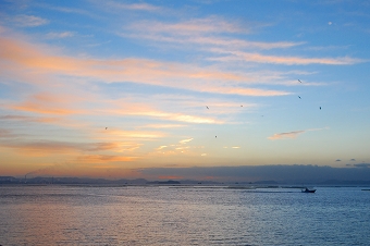 寄島の海