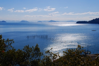 寄島の海