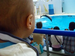 須磨海浜水族園