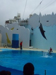 須磨海浜水族園