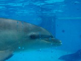 須磨海浜水族園