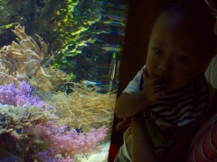 須磨海浜水族園