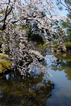 衆楽園にて