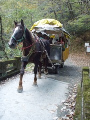 帝釈峡にて