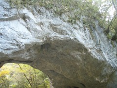 帝釈峡の雄橋にて