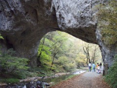 帝釈峡の雄橋にて