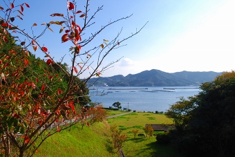 休暇村南淡路付近朝のお散歩