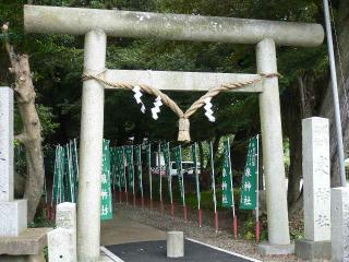 泉神社　一の鳥居