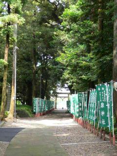 泉神社　参道