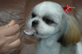 九ヶ月