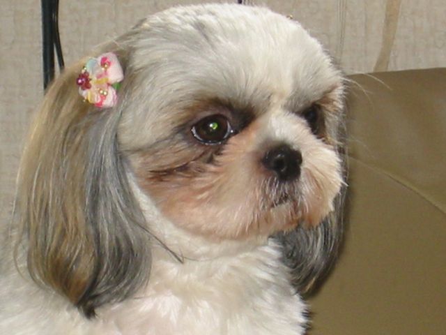 一歳六ヶ月