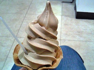 20090128softcream.jpg