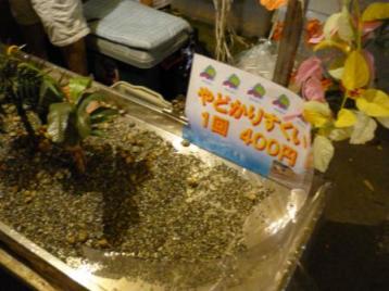 やどかりすくい