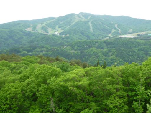 ひるがの高原SAからの風景