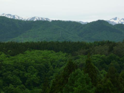 ひるがの高原SAからの風景